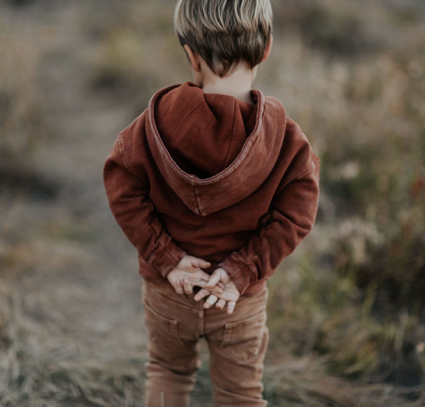 Cascade Hoodie | Rust